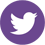 email twitter logo WTSO Update