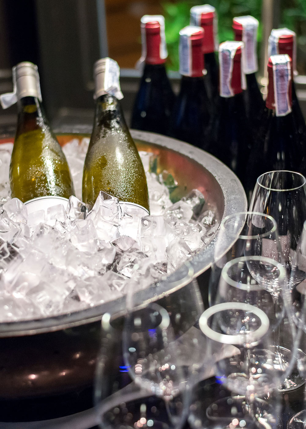 How Warm Or Cool Should I Serve Wine? From The Vine