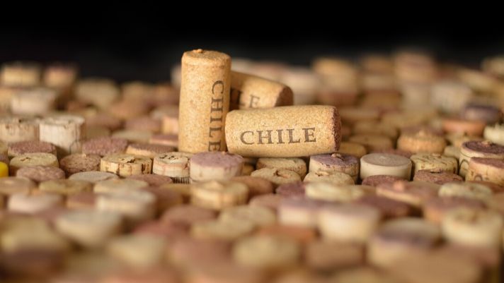 A Guide to the Chilean Wine Region
