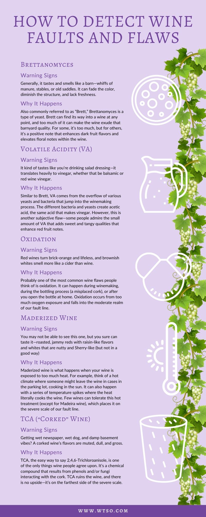 Infographic: How to Detect Wine Faults and Flaws