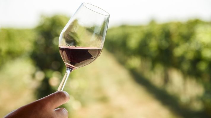 A person holding a wine glass full of wine with a vineyard in the background blurred.