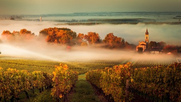 A Guide To France's Wine Regions