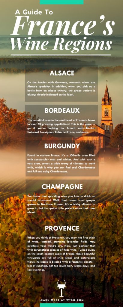 A Guide To France's Wine Regions Infographic