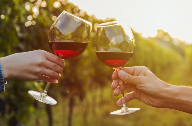 The Differences Between Old World and New World Wines From The Vine