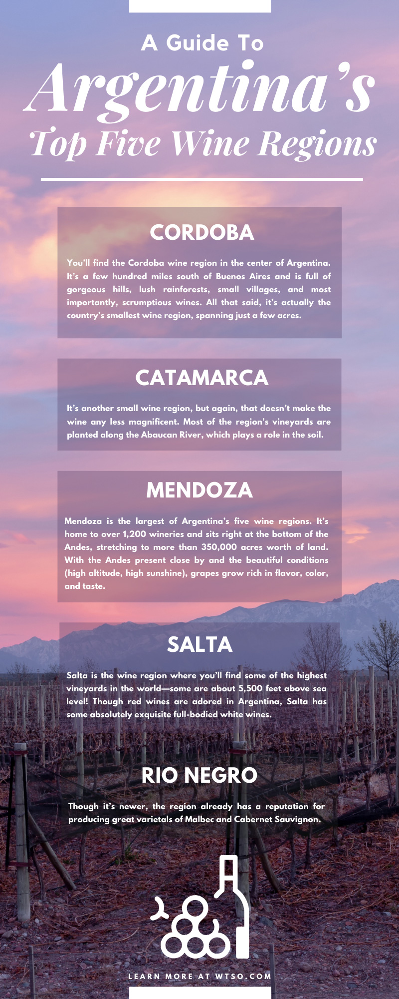 A Guide to Argentina's Top Five Wine Regions – With Infographic