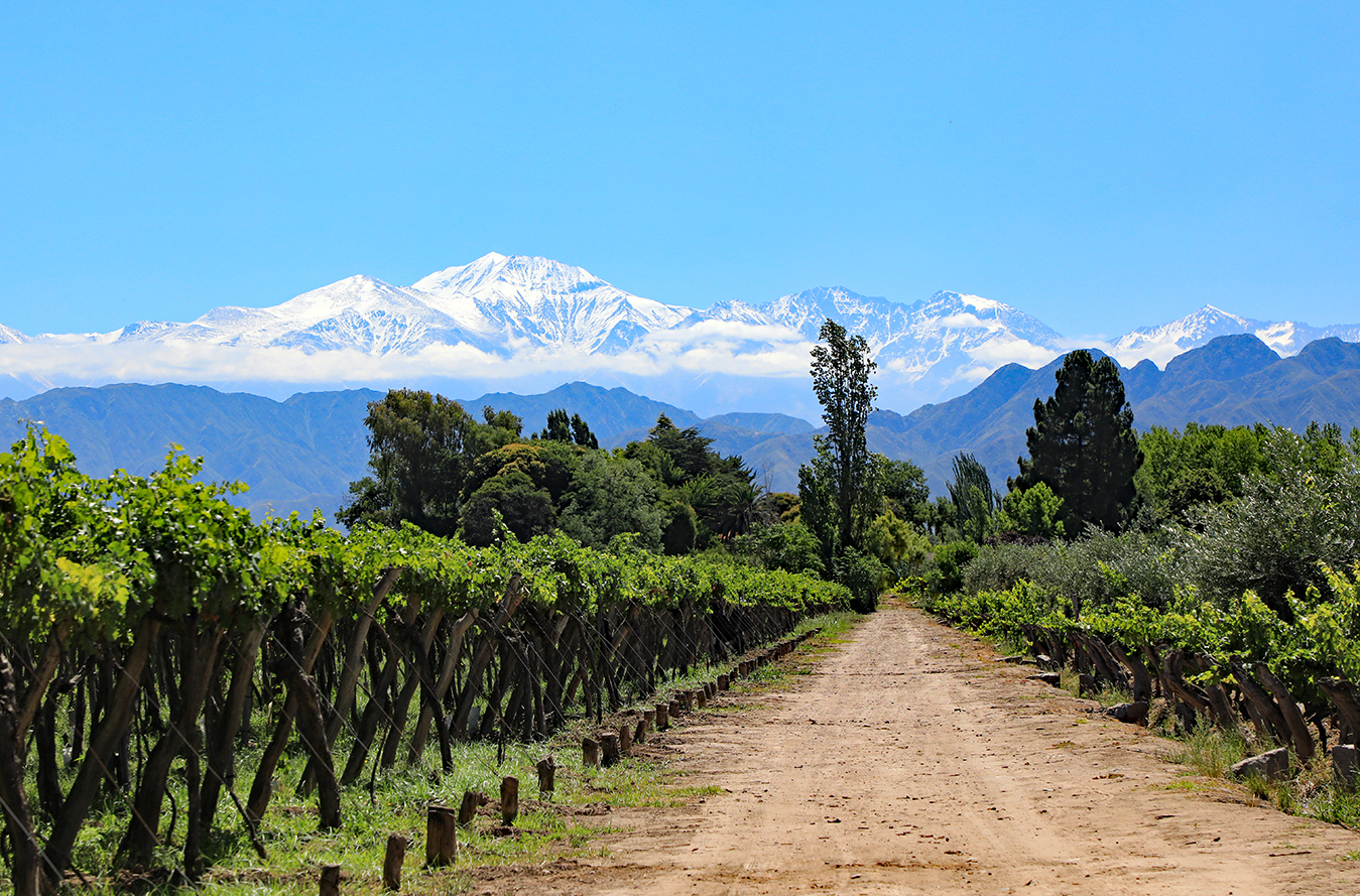 A Guide to Argentina's Top Five Wine Regions – With Infographic - From The  Vine