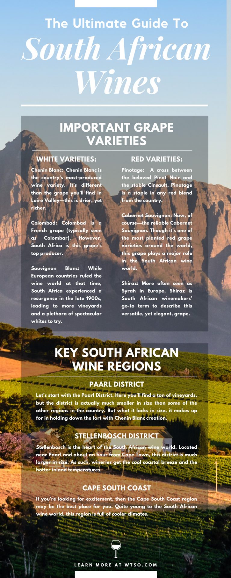 The Ultimate Guide to South African Wines From The Vine