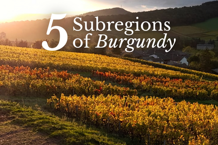 The 5 Subregions of Burgundy