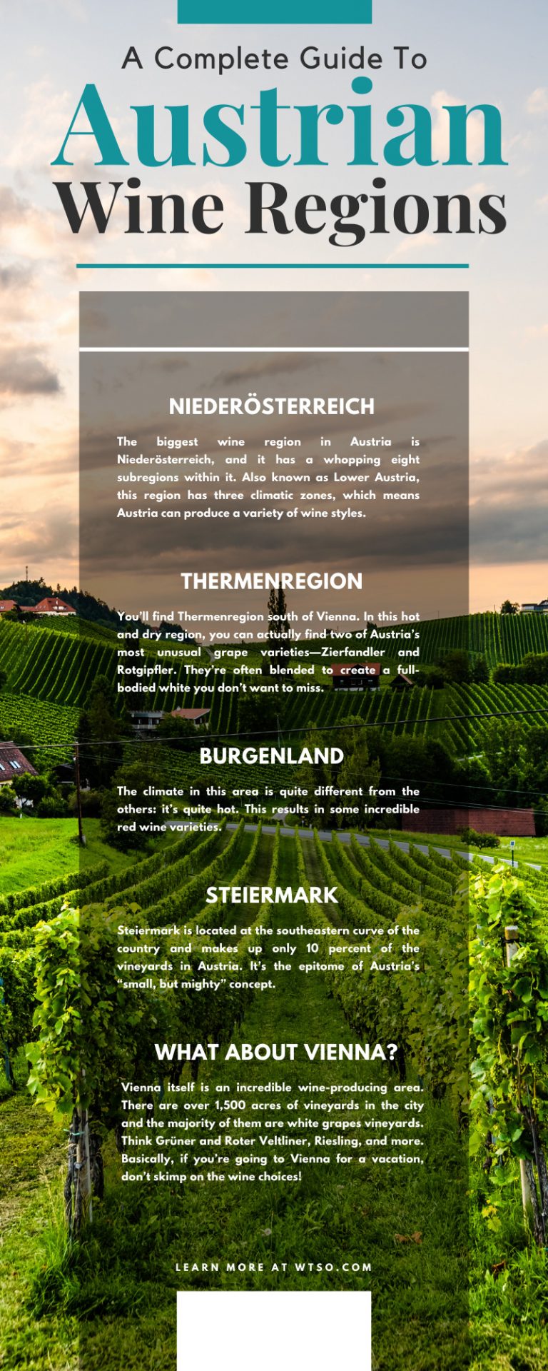 A Complete Guide To Austrian Wine Regions From The Vine
