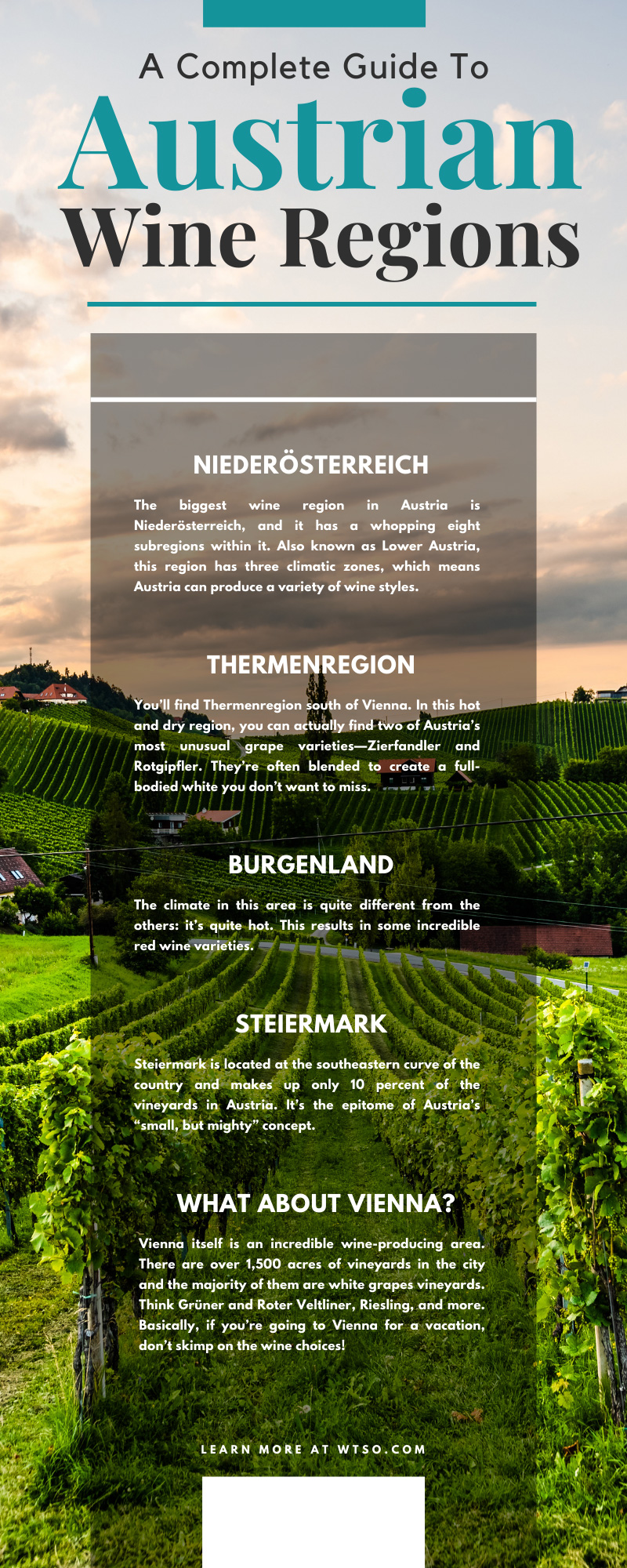 WTSO-Wines-Til-Sold-Out-Online-Wine-Shop-Online-Blog-A-Complete-Guide-To Austrian-Wine-Regions