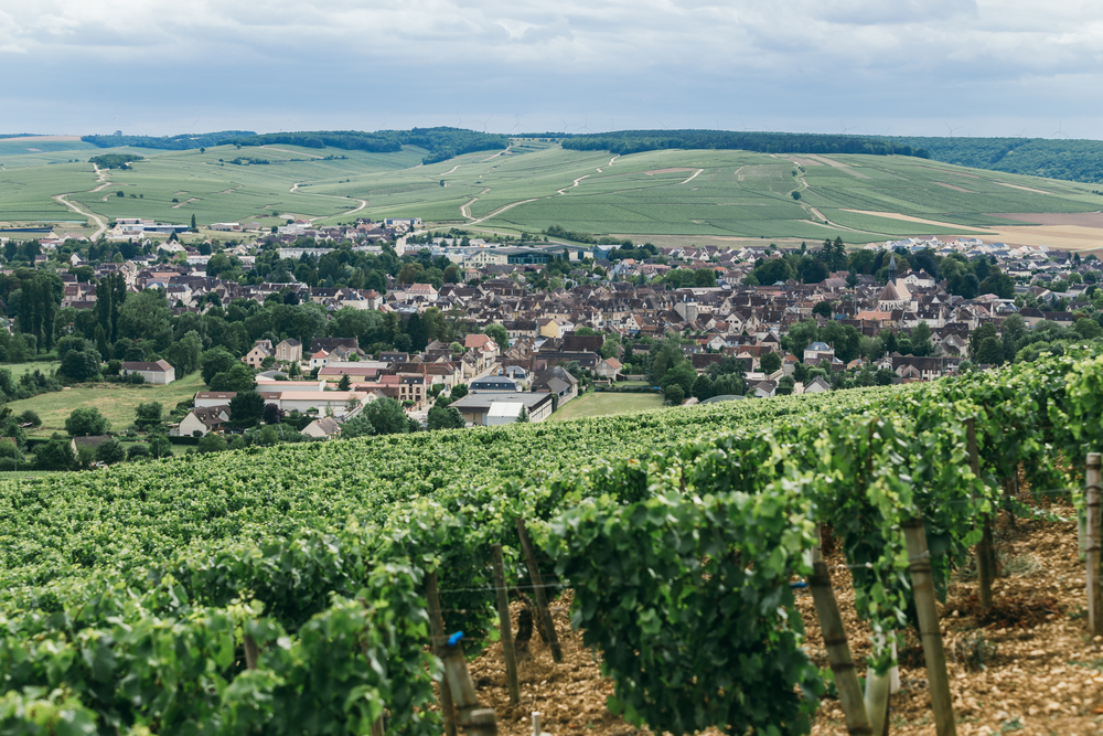 View,Of,The,Town,Of,Chablis,,Wine-growing,Region,In,Central
