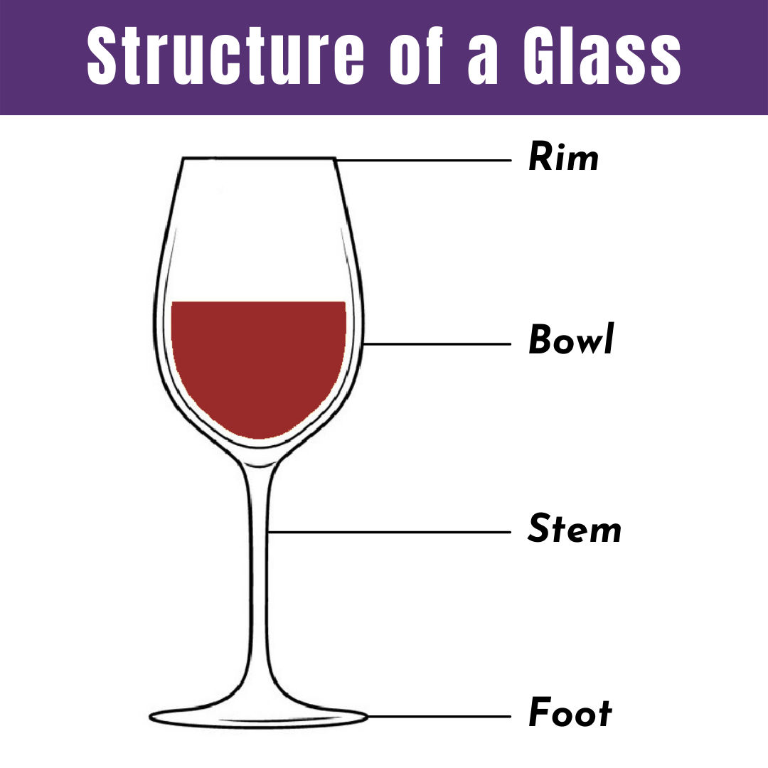 A Comprehensive Guide to Different Types of Wine Glasses From The Vine
