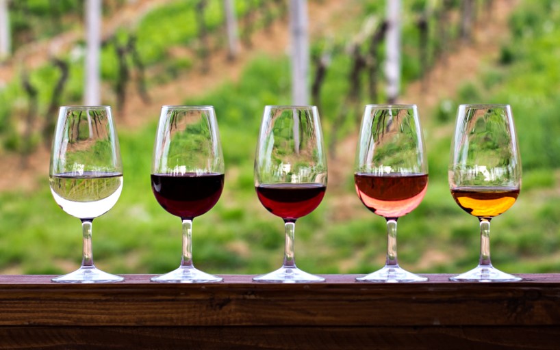 Five Wines for Beginners