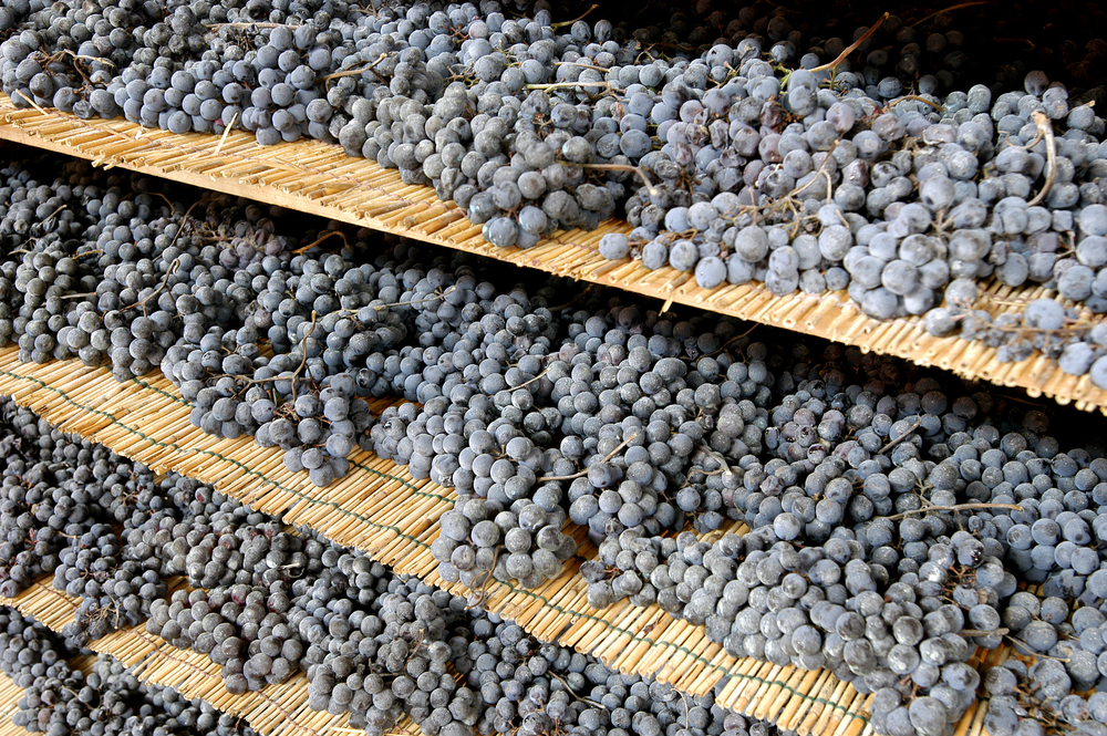 Valpolicella and Amarone: Styles and Food Pairings