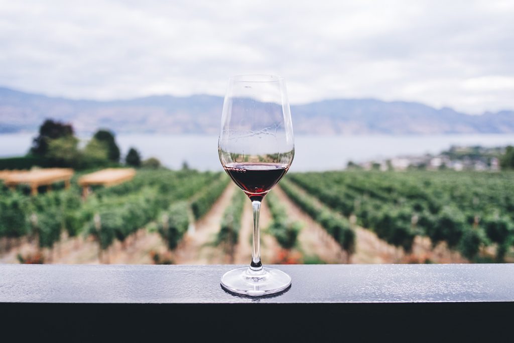 3 Unique Ways to Enjoy wine