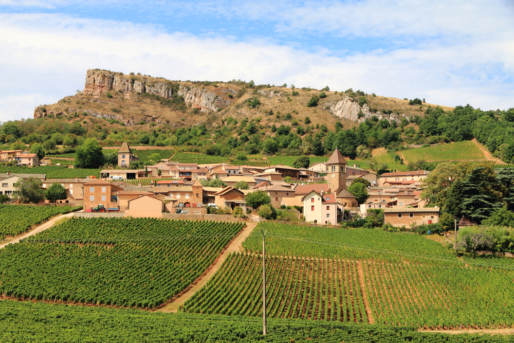 Pouilly Fuisse Chardonnay Region Story