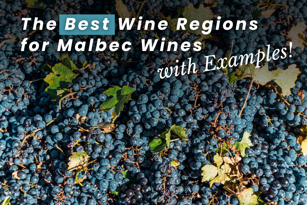 The Best Wine Regions for Malbec Wines from WTSO