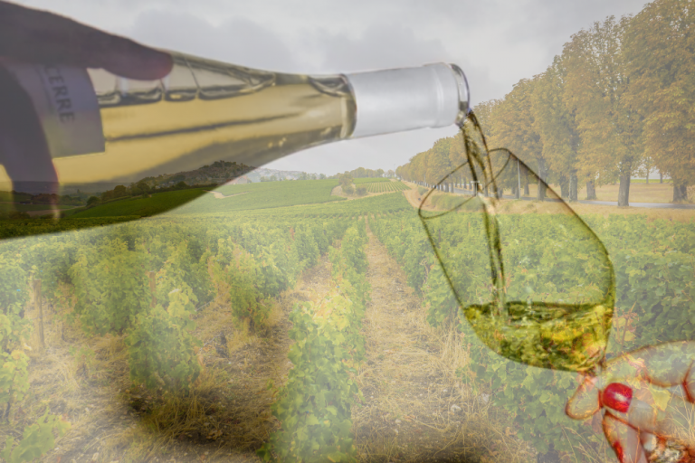 The Upper Loire's Best Wine: Sancerre