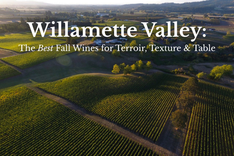Willamette Valley Pinot Noir: The Best Fall Wines for Terroir, Texture & Table – WTSO.com