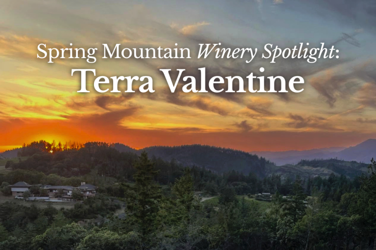WTSO-Wines-Til-Sold-Out-Online-Wine-Shop-Blog-WinerySpotlight-TerraValentine-SpringMountain-Cabernet