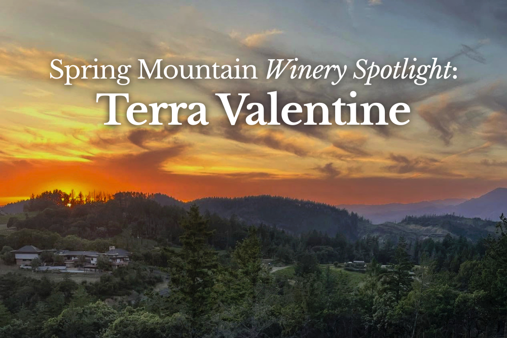 WTSO-Wines-Til-Sold-Out-Online-Wine-Shop-Blog-WinerySpotlight-TerraValentine-SpringMountain-Cabernet